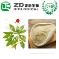 China GMP Factory Ginseng Extract in Plant Extract for Health Supplement
